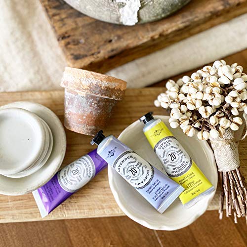 La Chatelaine Hand Cream Gift Set for Women, Mom, Sister, Travel Size, Natural Hand Cream Made in France with 20% Organic Shea Butter (Citrus Fizz, White Grapefruit, & Lavender) 3 x 1 fl. oz LaChatelaine