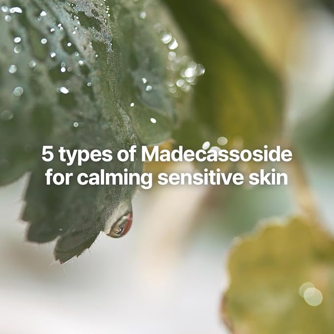 [PKY] Pyunkang Yul Calming Skincare Gift Set with Premium Gift Wrapping, Vegan, Korean Skincare (3-item set) Stocking Stuffer Christmas Holiday New Year gift set PyunkangYul