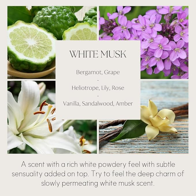 396 st. Preserved Baby's Breath Flower Reed Diffuser, White Musk, 200ml(6.7oz) / Reed Diffuser Sets, Home Fragrance, Scented Oils, Home & Bathroom Décor 396st