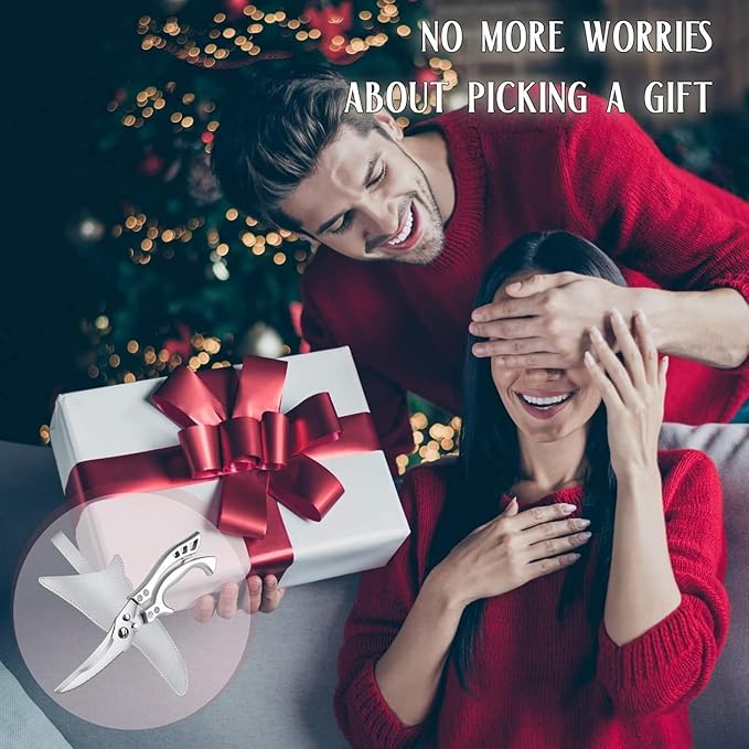 Dreach Reach Heavy Duty Poultry Shears with Serrated Edge - Kitchen Scissors For Chicken, Bone, Meat, Turkey, Fish - No Rust, Spring Loaded, Stainless Steel DreamReach