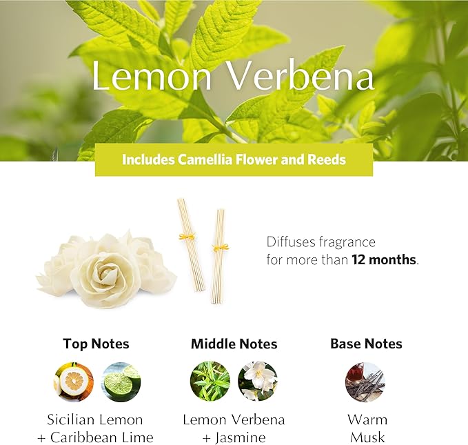 AGRARIA AirEssence Flower and Reed Diffuser Set, Handmade Sola Flower Botanical Home Fragrance Set, Scented Oil Reed Diffuser Gift for All Occasions AgrariaHome