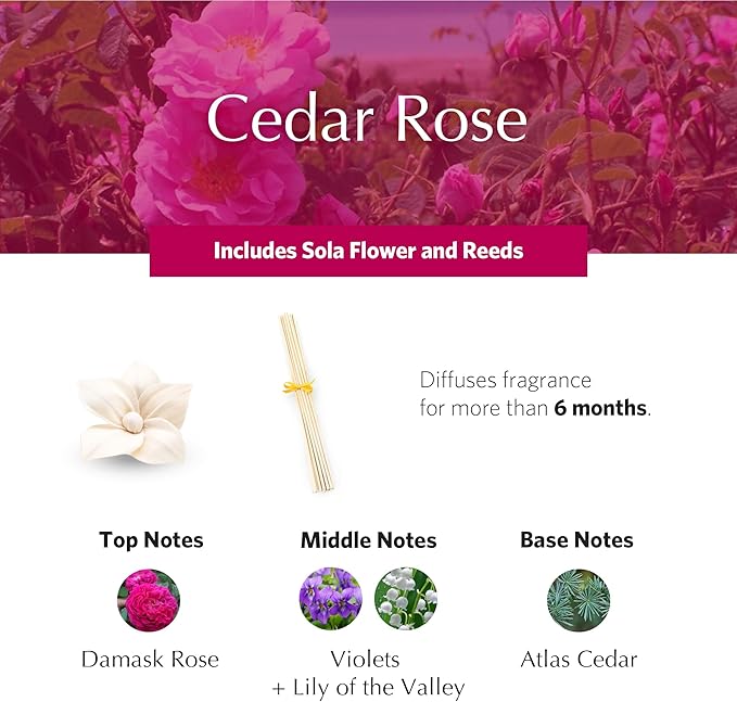 AGRARIA PetiteEssence Flower and Reed Diffuser Set, Hand Crafted Sola Flower Botanical Home Fragrance, Scented Oil Gift Set for All Occasions AgrariaHome