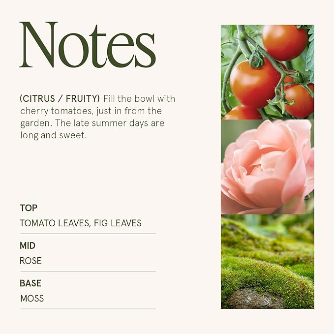 LA JOLIE MUSE Tomato & Vine Candle - Tomato Leaf, Rose, Moss | 12 oz Large 2-Wick Soy Wax Candle | 60 Hours Clean Burn | Fresh Garden Scented Candle | Gift-Ready for Hosts & Gatherings LaJol%C3%ADeMuse