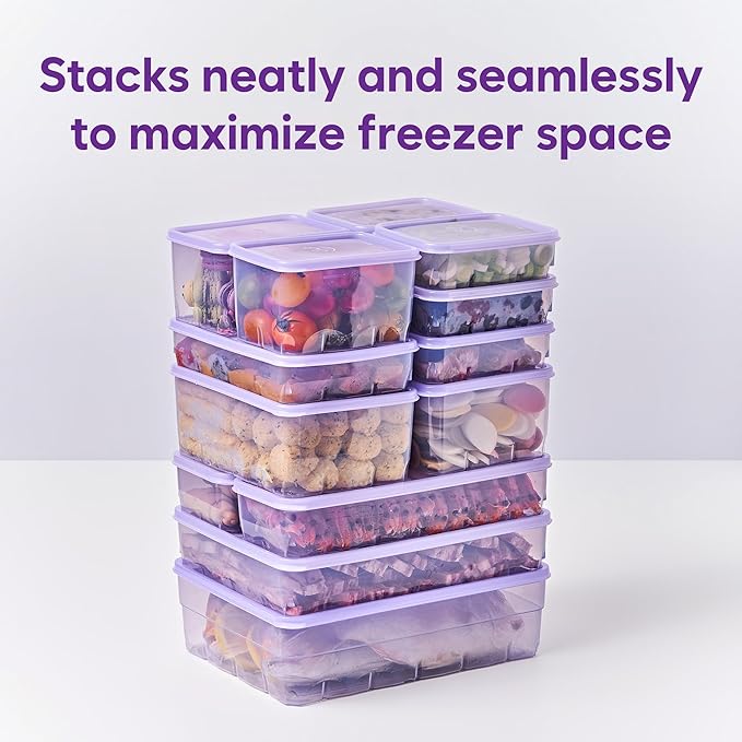 Twist-Release Freezer Containers,24 Pack Flexible When Frozen | Anti-Break, BPA-Free, Stackable | Made in Korea thxSoyoon