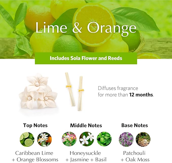 AGRARIA AirEssence Flower and Reed Diffuser Set, Handmade Sola Flower Botanical Home Fragrance Set, Scented Oil Reed Diffuser Gift for All Occasions AgrariaHome