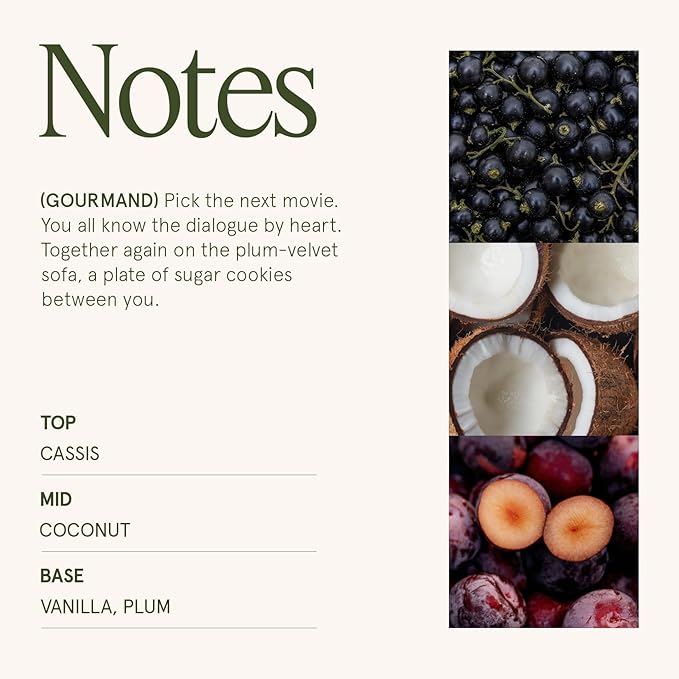 LA JOLIE MUSE Vanilla Plum Sky Candle - Coconut, Vanilla, Plum | 12 oz Large 2-Wick Soy Wax Candle | 60 Hours Clean Burn | Gift-Ready for Hosts & Gatherings | Elegant Home Decor LaJol%C3%ADeMuse