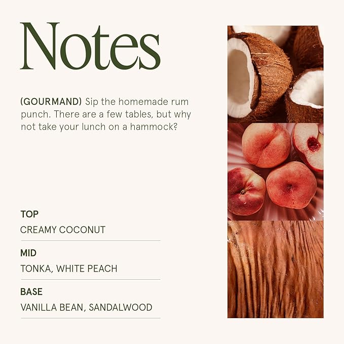 LA JOLIE MUSE Vanilla Coconut Candle – Coconut, Freesia & Vanilla | 19 oz Large Wooden Wick Candle | Natural Soy Wax | 90 Hours Clean Burn | Gift-Ready for Hosts & Gatherings | Elegant Home Décor LaJol%C3%ADeMuse