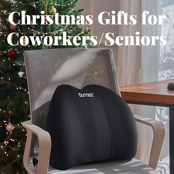 QUTOOL Lumbar Support Pillow for Office Chair, Memory Foam Low Back Support,Back Pain Relief, Ergonomic Back Cushion for Desk Chair,Gaming Chair,Adjustable Strap and Washable Cover QUTOOL