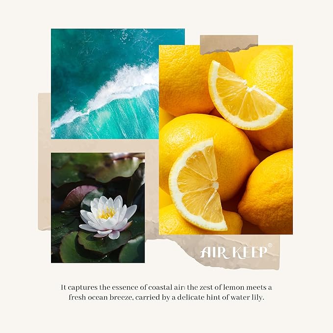 Airkeep Reed Diffuser Set,3.38 fl oz (100 ml) - Ocean Breeze Oil Diffusers with 8 Reed Sticks, Home Fragrance Reed Diffuser for Bathroom Shelf Decor Airkeep