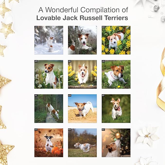 RED EMBER Jack Russell Terriers 2026 Wall Calendar 12 Month | 12" x 24" Open | Thick & Sturdy Paper | Holiday Gift | Cute Puppy Dog Calendar 2026