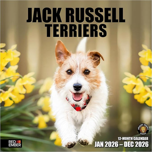 RED EMBER Jack Russell Terriers 2026 Wall Calendar 12 Month | 12" x 24" Open | Thick & Sturdy Paper | Holiday Gift | Cute Puppy Dog Calendar 2026