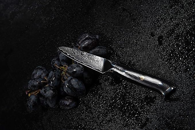 Oxford CHEF Paring Knife- 3.5 Inch - Damascus Japanese- VG10 Super Steel 67 Layer High Carbon Stainless Steel- Razor Sharp, Stain & Corrosion Resistant, Awesome Edge Retention OxfordChef