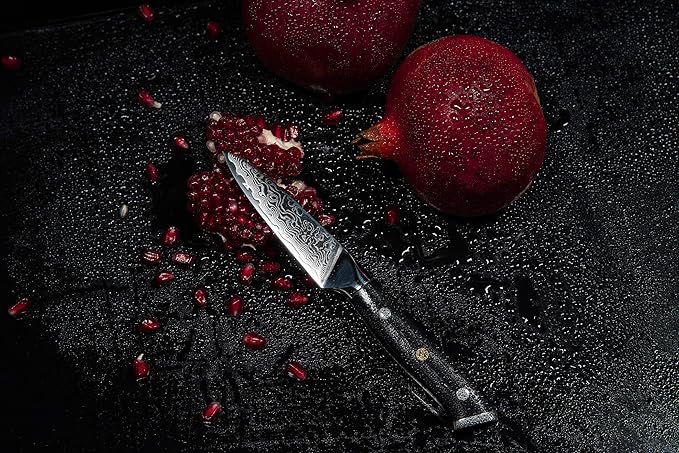 Oxford CHEF Paring Knife- 3.5 Inch - Damascus Japanese- VG10 Super Steel 67 Layer High Carbon Stainless Steel- Razor Sharp, Stain & Corrosion Resistant, Awesome Edge Retention OxfordChef